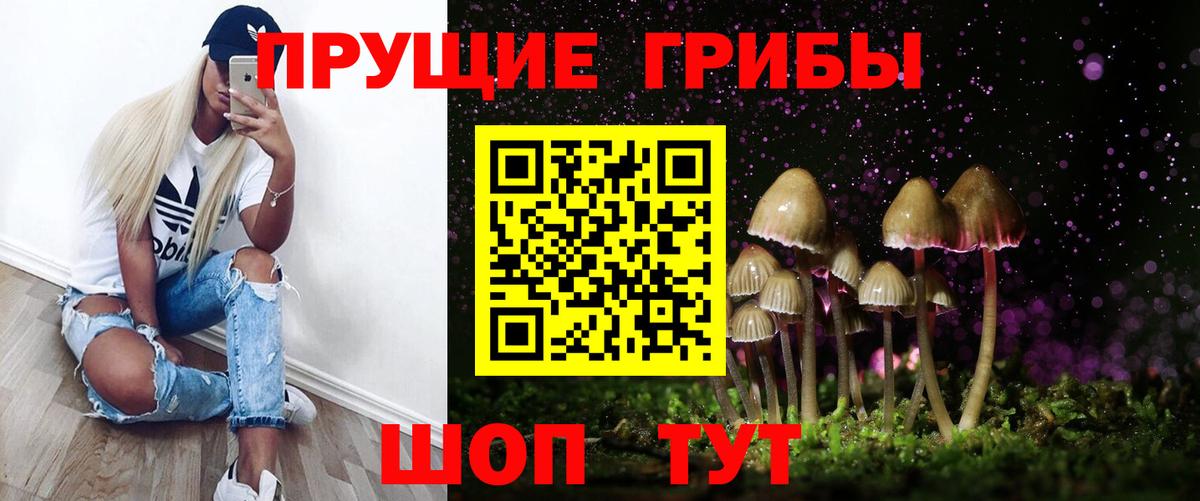 Псилоцибиновые грибы мухоморы  цены наркотик  Дзержинск  Вход с VPN 